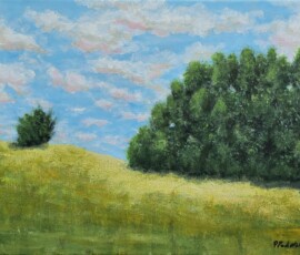 acrilico, 30x40 cm